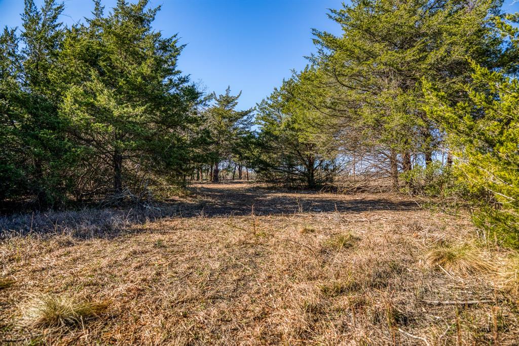 Pastured area in the back of Lot 5