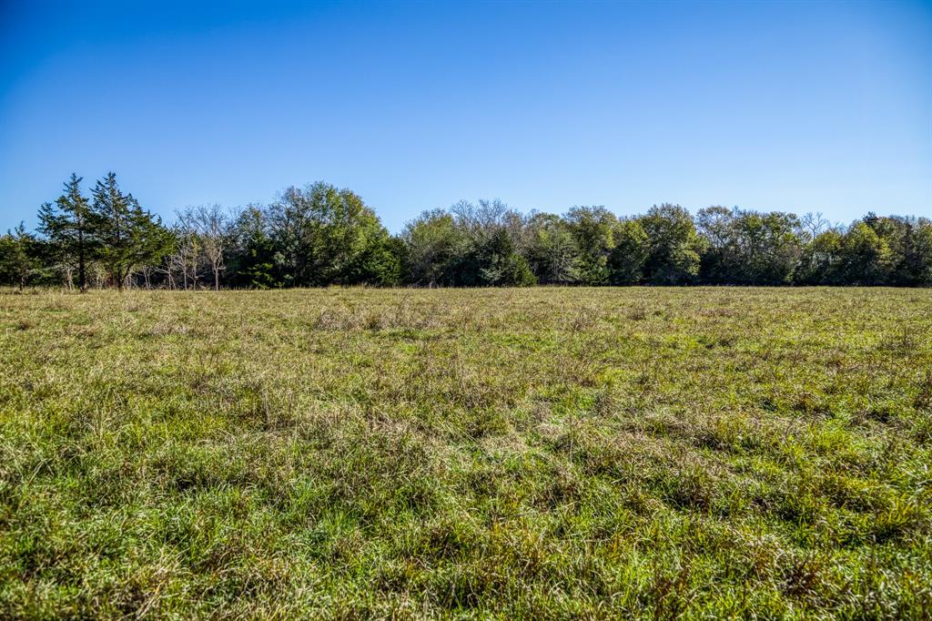 Pastured area in the back of Lot 5 (Diff viewpoint)