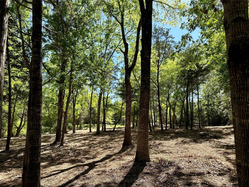 Lot 5 looking towards lot 4 and Tiemann Rd.