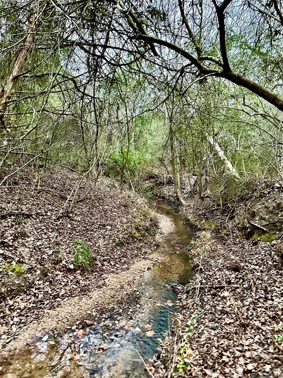 Aerial Entry to wooded area on Lot 4