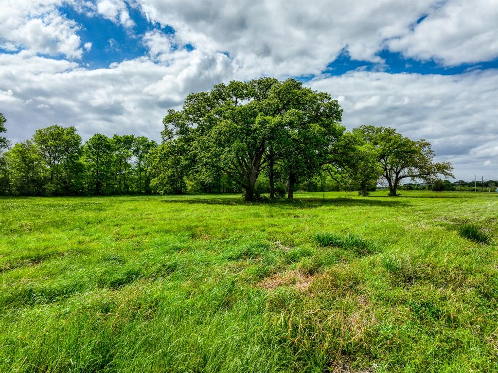 26670 Sh-6  S, Navasota, Texas image 6