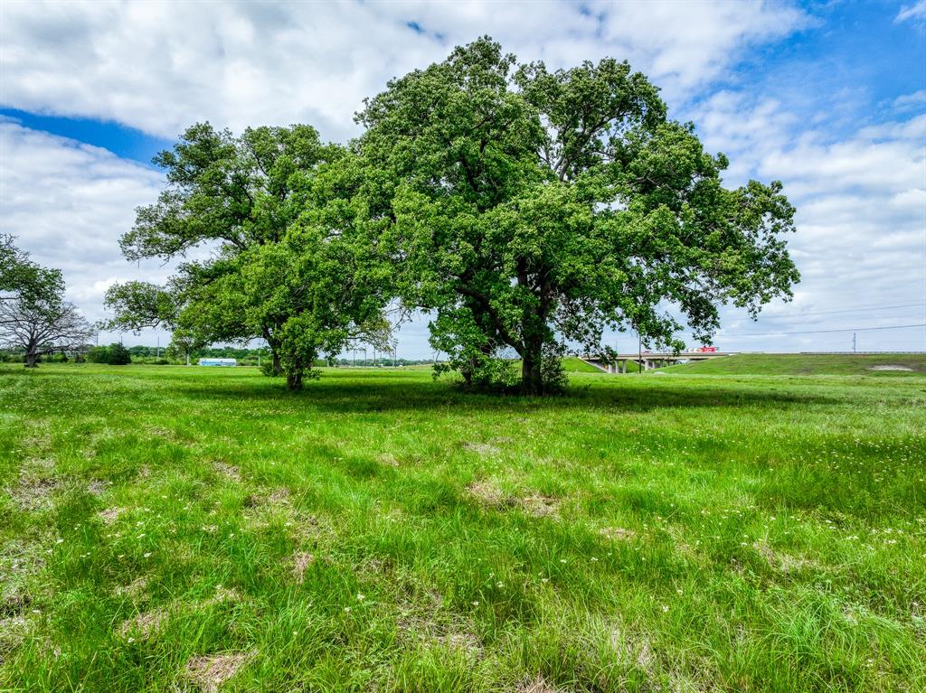 26670 Sh-6  S, Navasota, Texas image 8