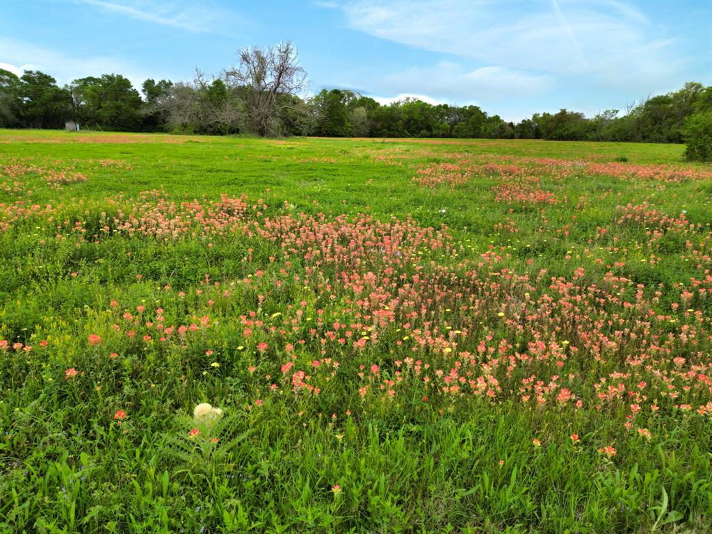 Cr 700  , Brazoria, Texas image 6