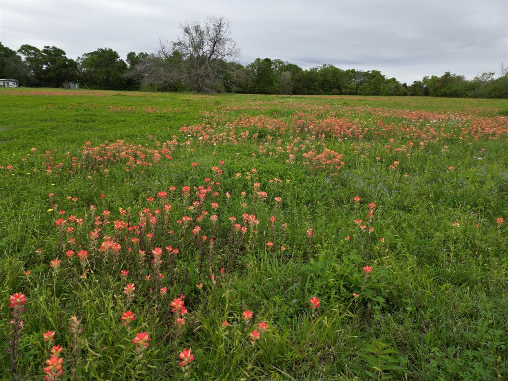 Cr 700  , Brazoria, Texas image 7