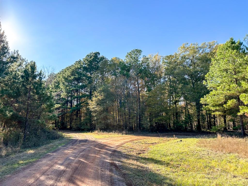 County Road 3  , Douglass, Texas image 11