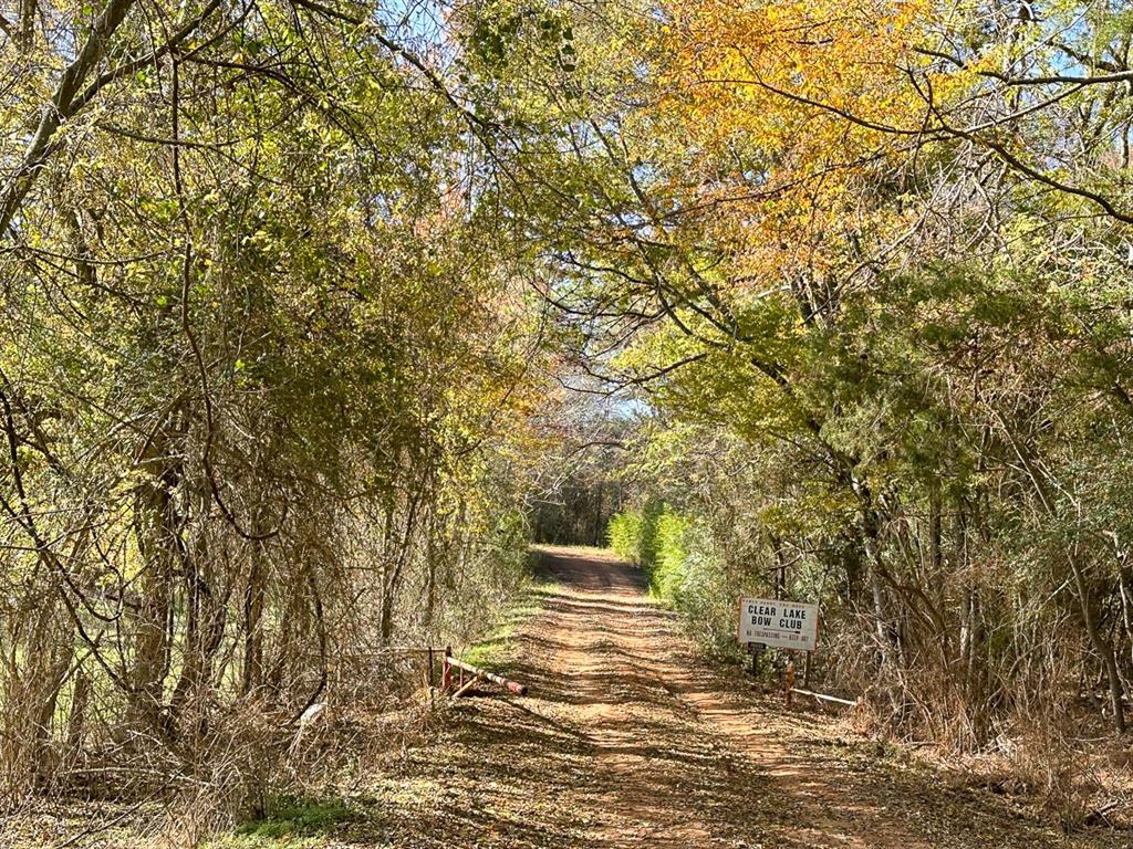 County Road 3  , Douglass, Texas image 5