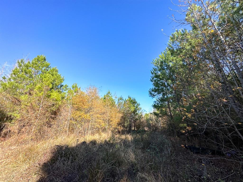 County Road 3  , Douglass, Texas image 8