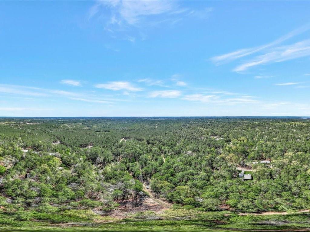 Drywood Lane , Brookeland, Texas image 4