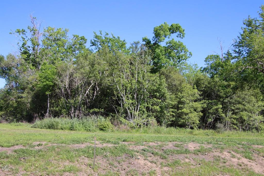 000 Clear Woods Court N, Washington, Texas image 9