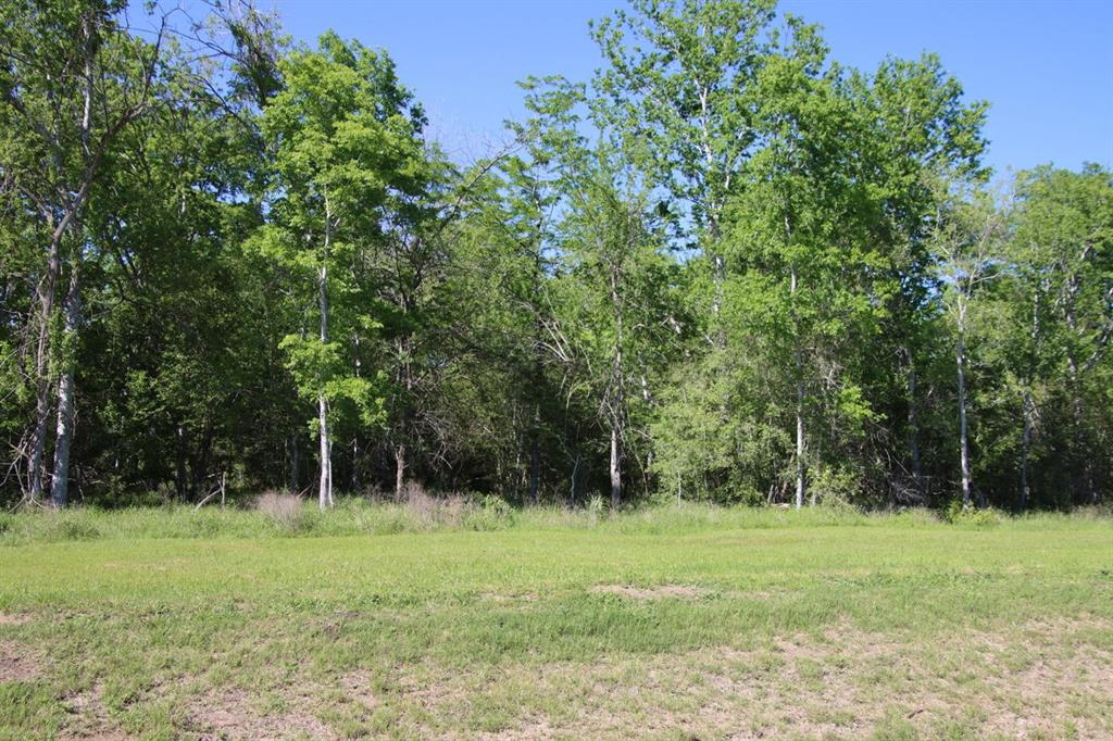 00 Wooded Reserve Court , Washington, Texas image 7