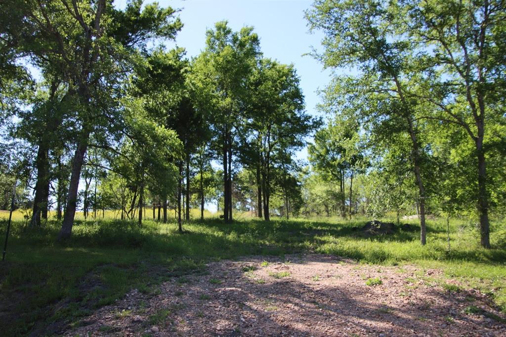 00 Wooded Reserve Court , Washington, Texas image 8