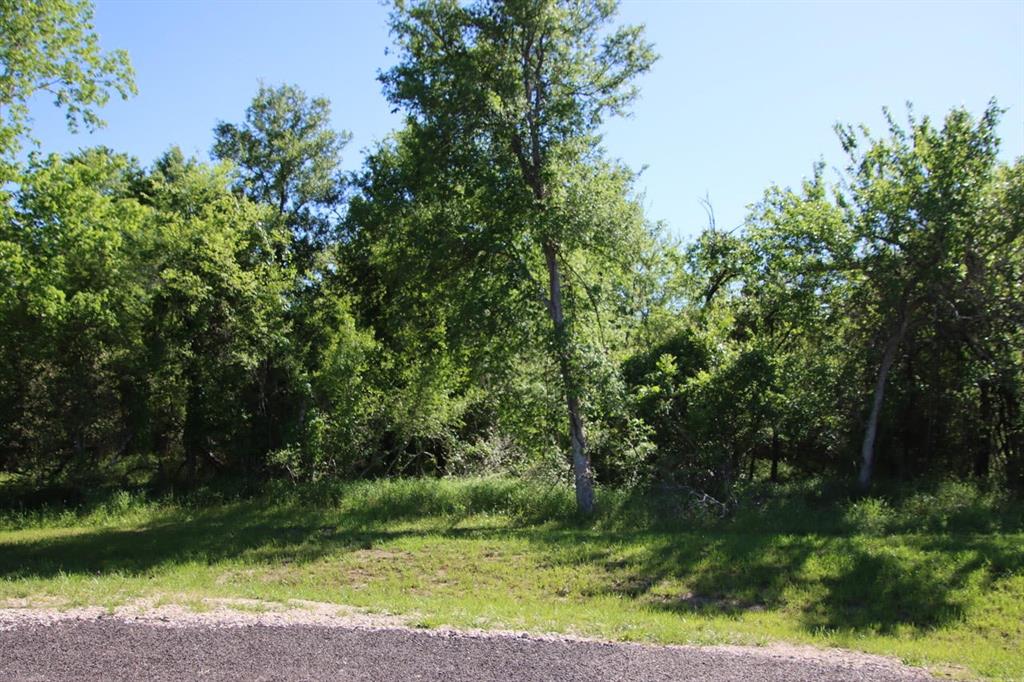 Wooded Reserve Court , Washington, Texas image 11