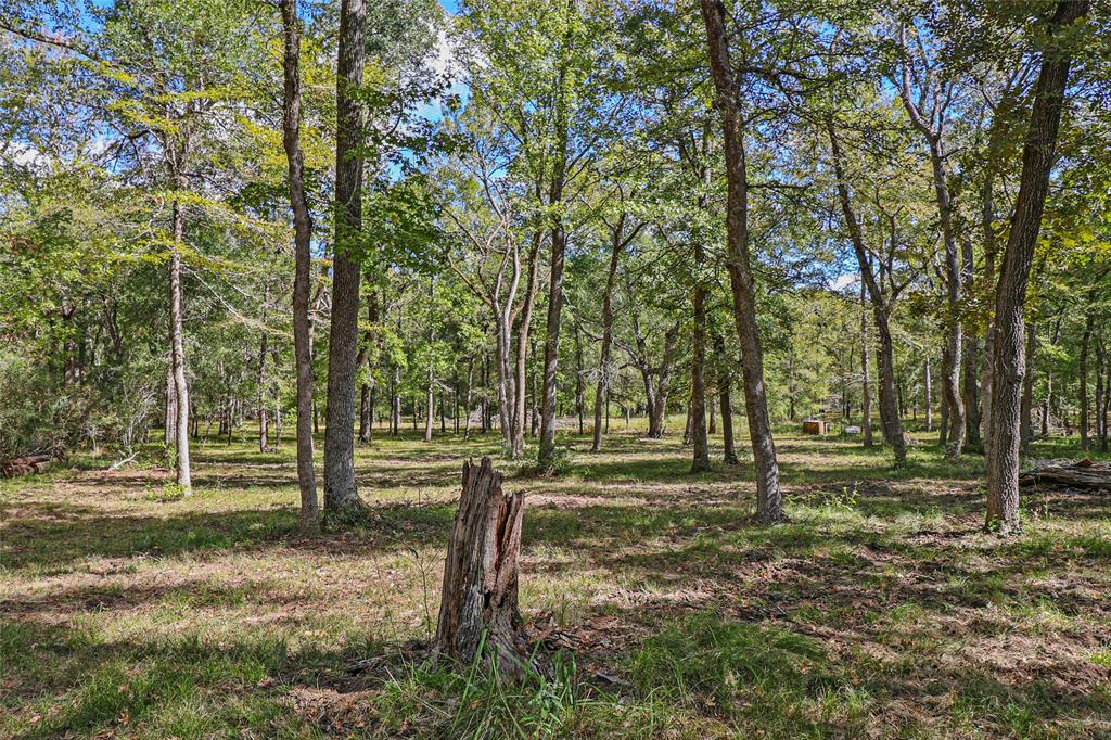 13585 County Road 136  , Centerville, Texas image 25