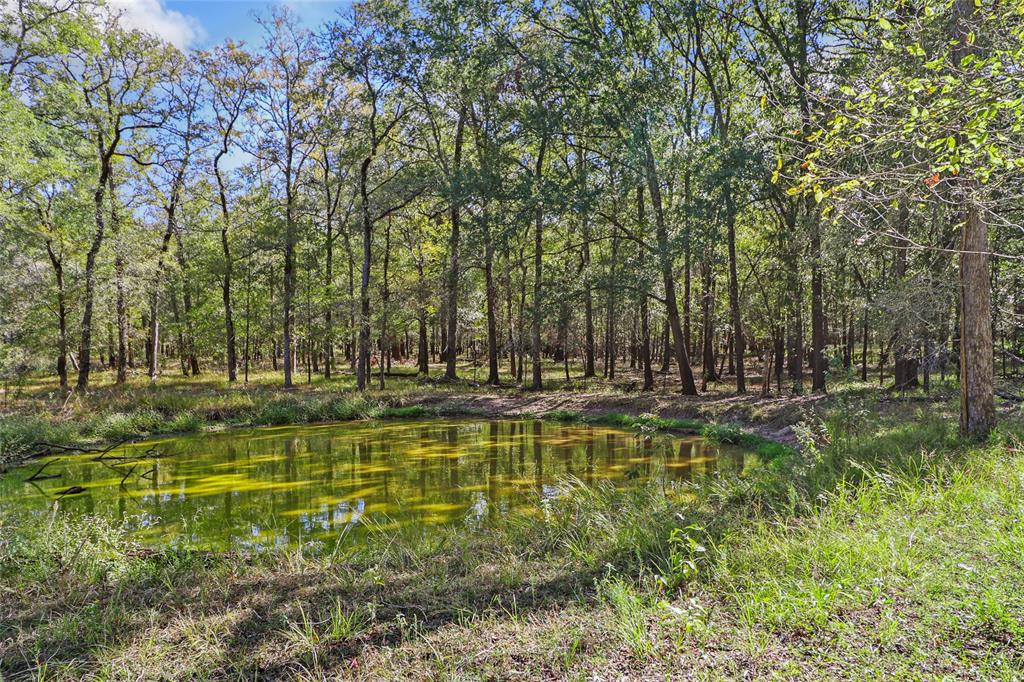 13585 County Road 136  , Centerville, Texas image 26