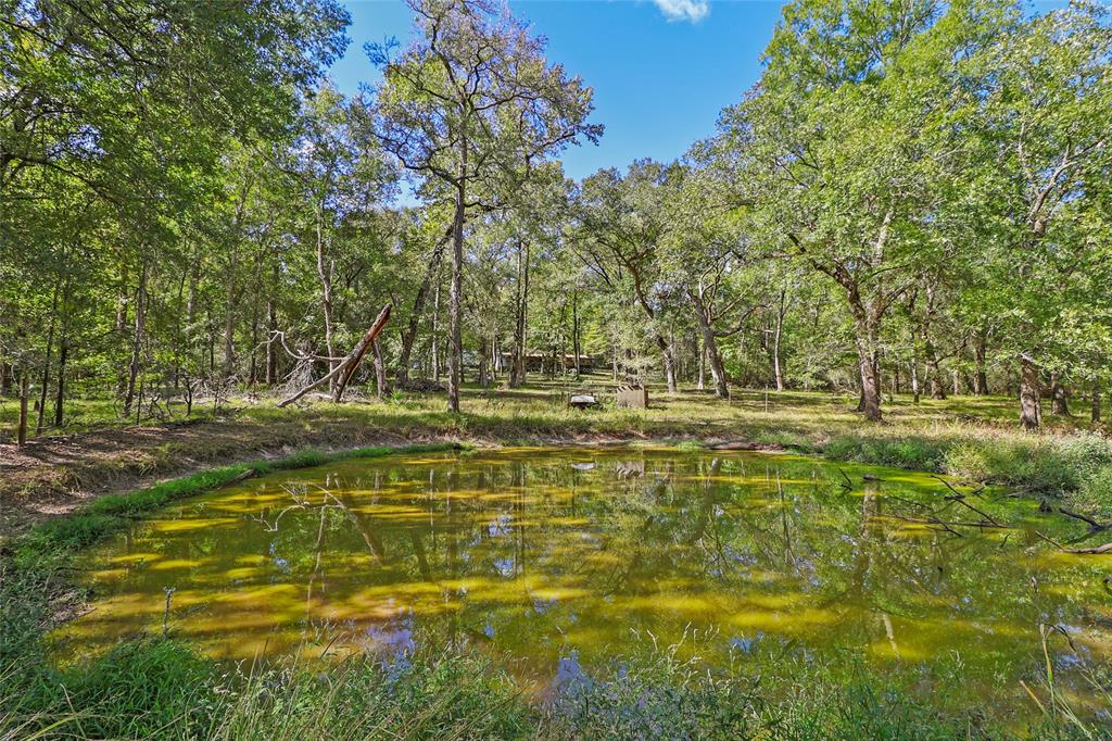 13585 County Road 136  , Centerville, Texas image 27