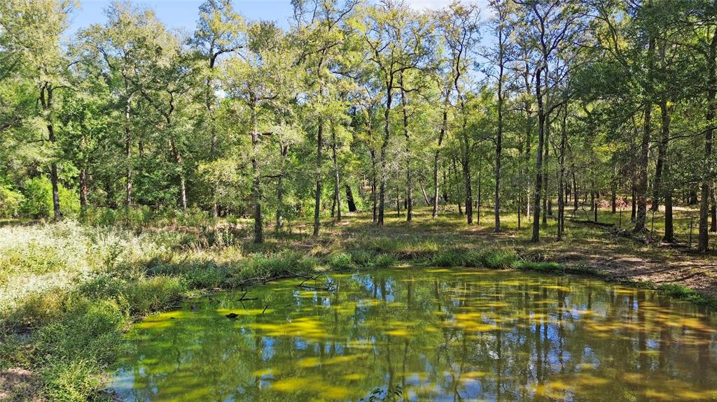 13585 County Road 136  , Centerville, Texas image 4