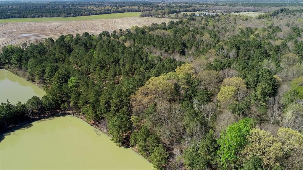 County Road 3204  , De Kalb, Texas image 4