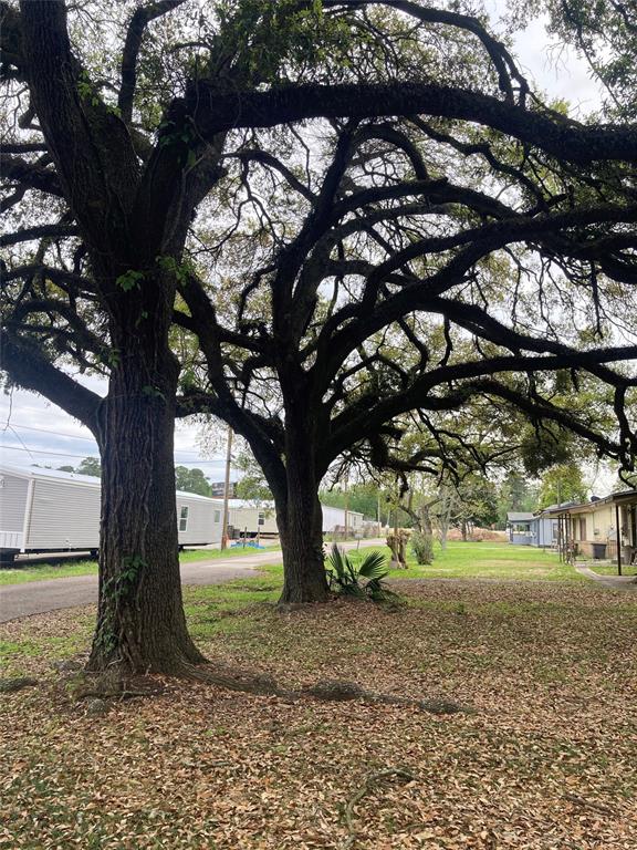 Beautiful mature trees complete this fantastic lot!