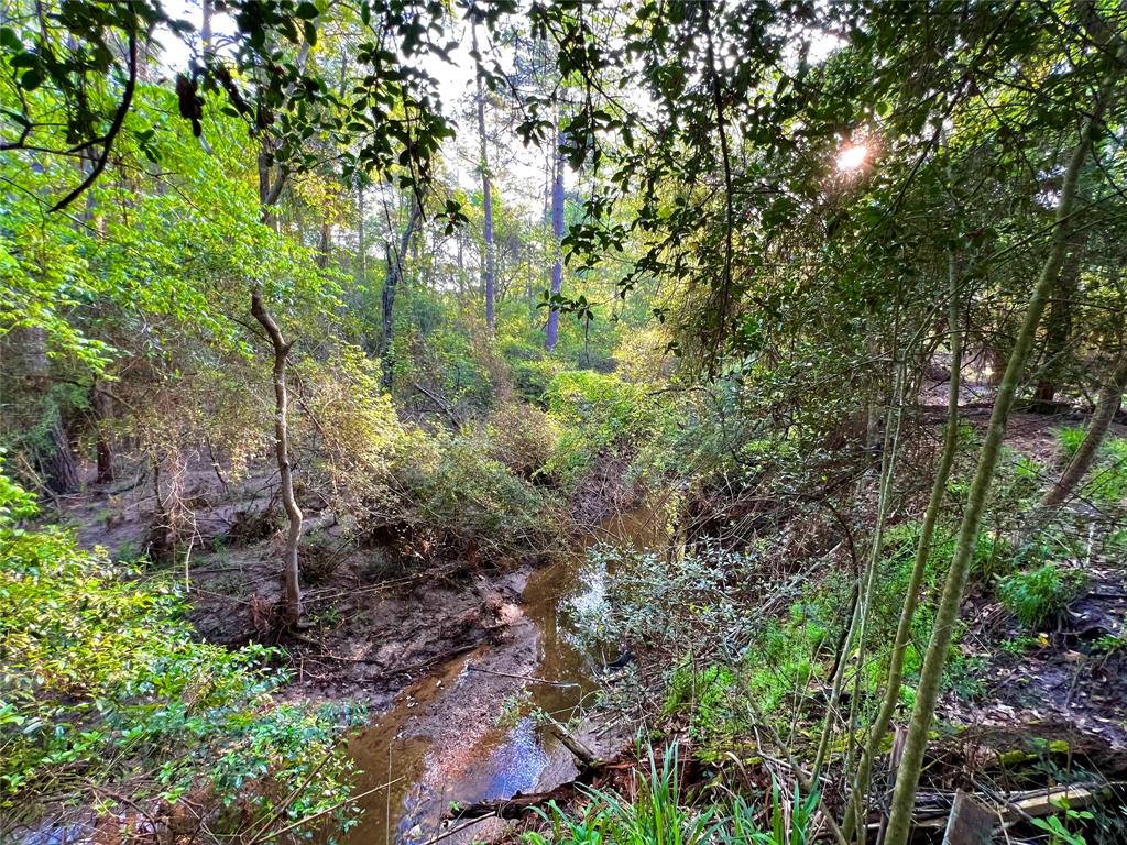 Creek runs on the side of home