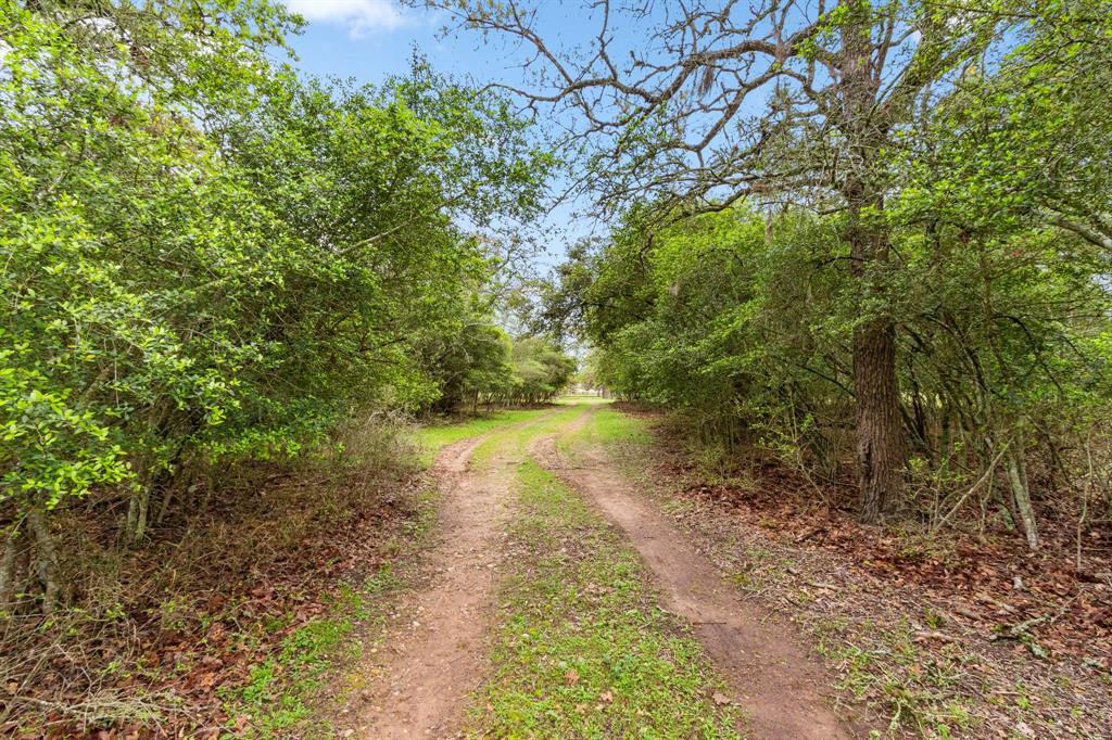 1031 Yearwood Lane , Columbus, Texas image 34