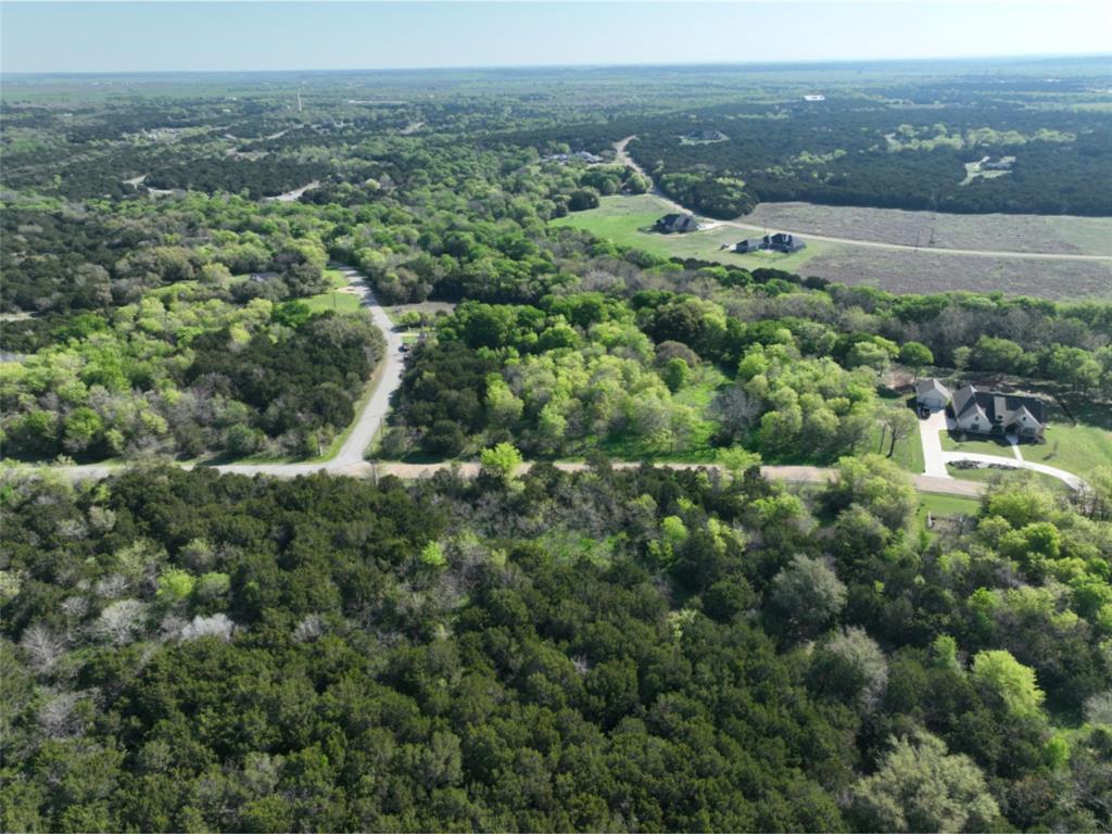 12028 Shady Creek Drive , Whitney, Texas image 11