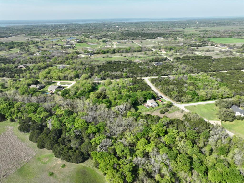 12028 Shady Creek Drive , Whitney, Texas image 14