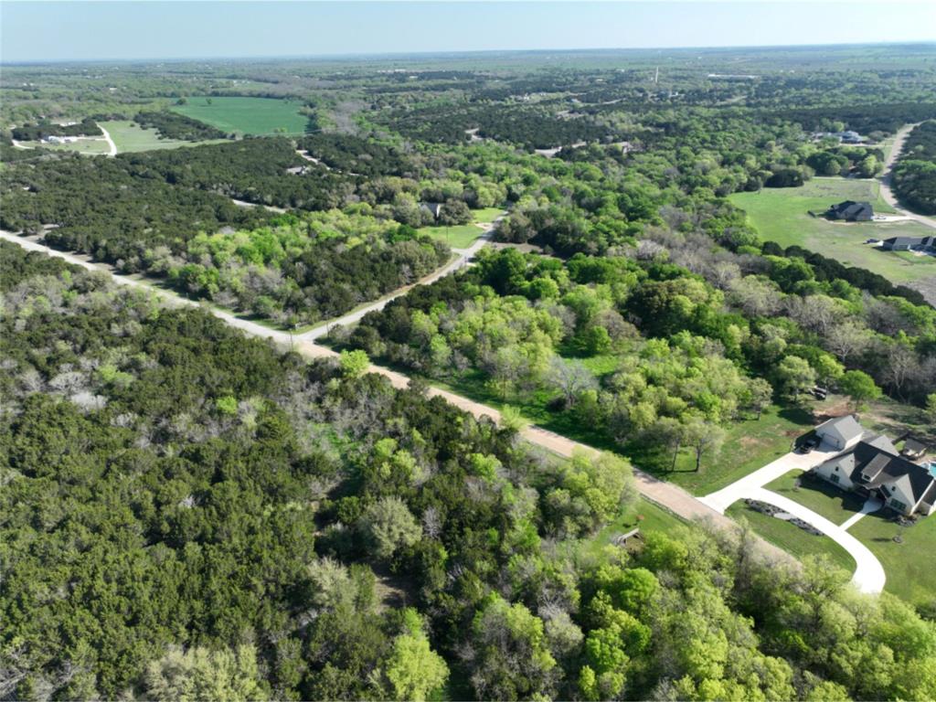 12028 Shady Creek Drive , Whitney, Texas image 15