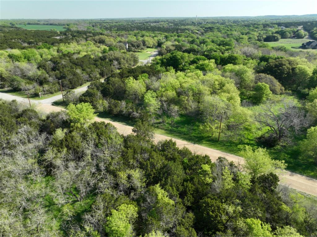 12028 Shady Creek Drive , Whitney, Texas image 26