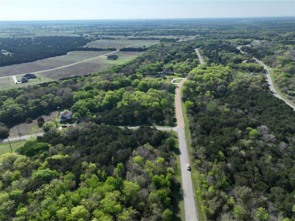 12028 Shady Creek Drive , Whitney, Texas image 4