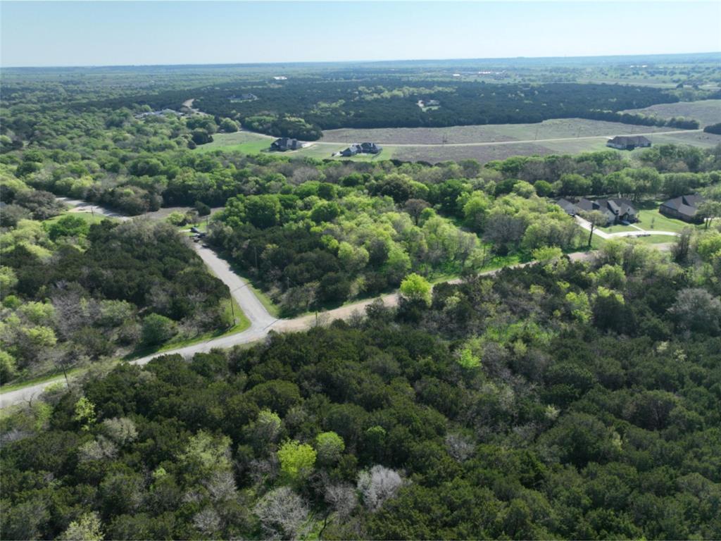 12028 Shady Creek Drive , Whitney, Texas image 9