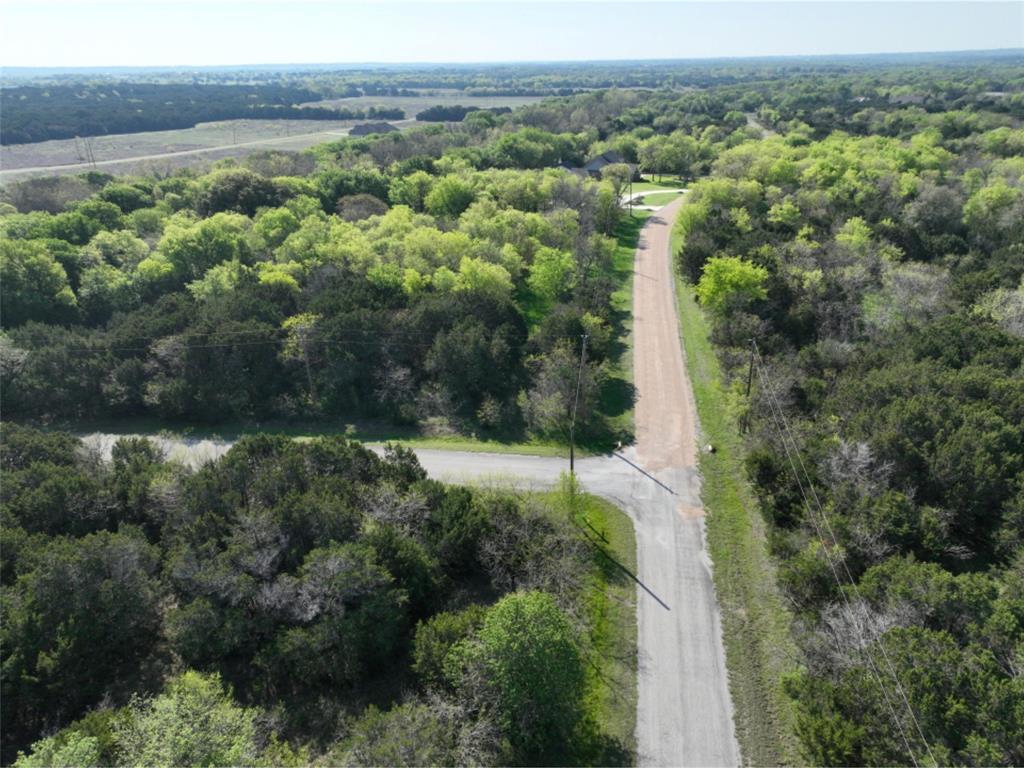 12028 Shady Creek Drive , Whitney, Texas image 10