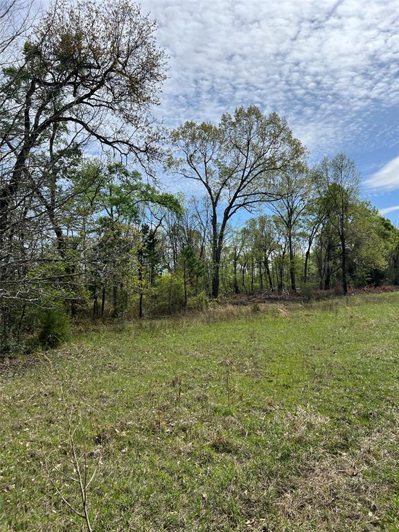 TBD County Road 490  , Henderson, Texas image 11