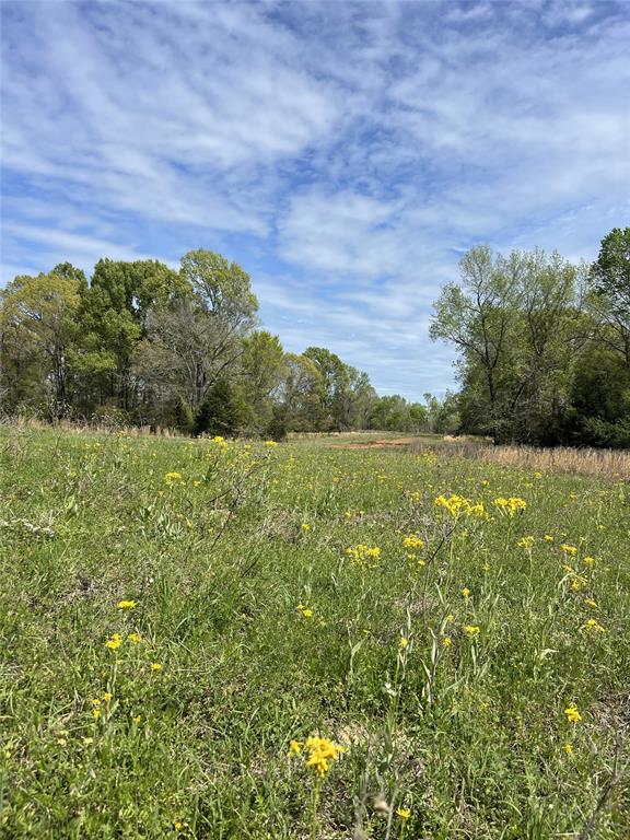 TBD County Road 490  , Henderson, Texas image 13