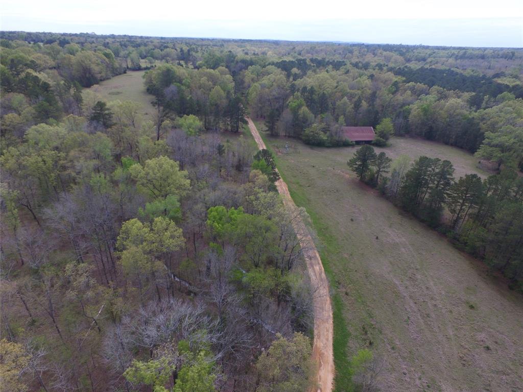 TBD County Road 490  , Henderson, Texas image 14