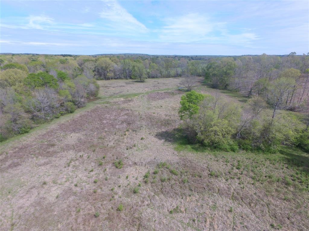 TBD County Road 490  , Henderson, Texas image 19