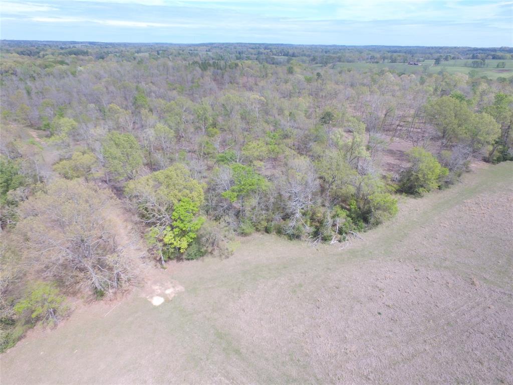 TBD County Road 490  , Henderson, Texas image 26