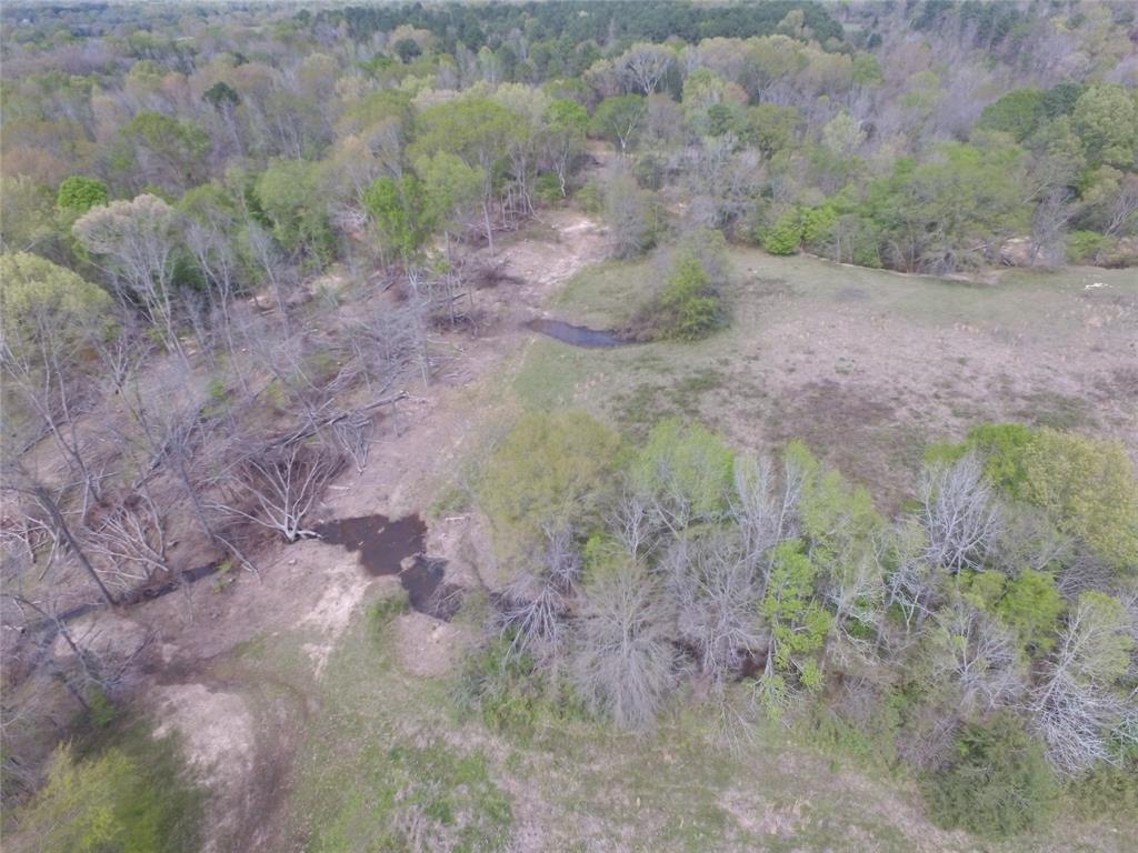 TBD County Road 490  , Henderson, Texas image 31