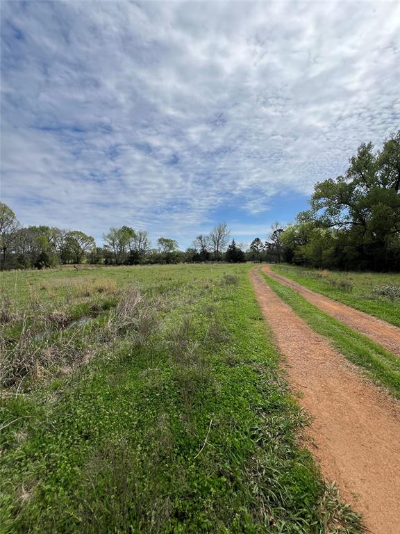 TBD County Road 490  , Henderson, Texas image 5