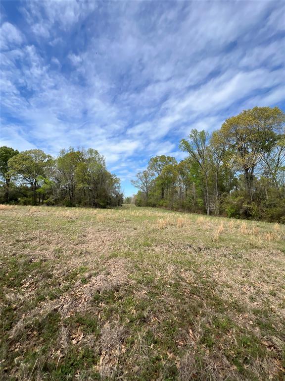 TBD County Road 490  , Henderson, Texas image 6