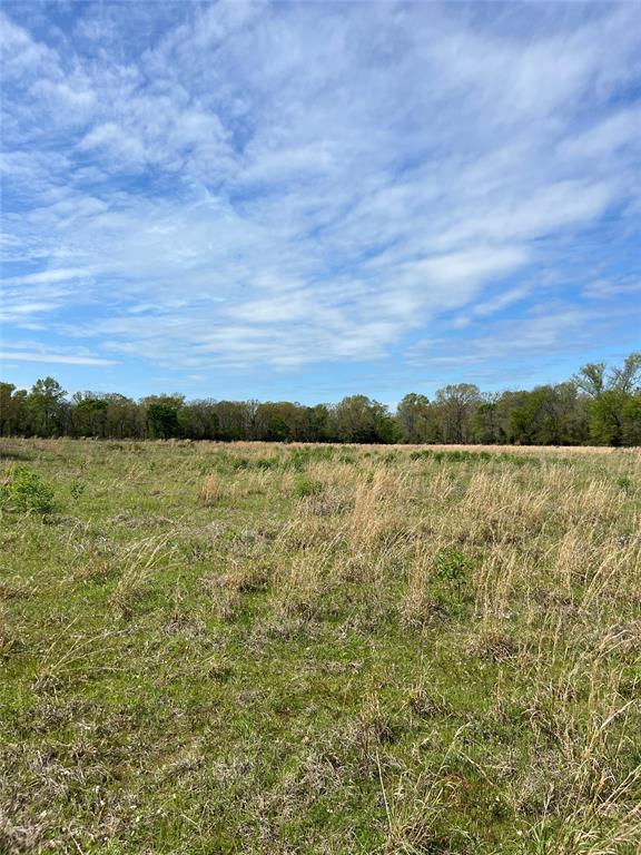 TBD County Road 490  , Henderson, Texas image 7