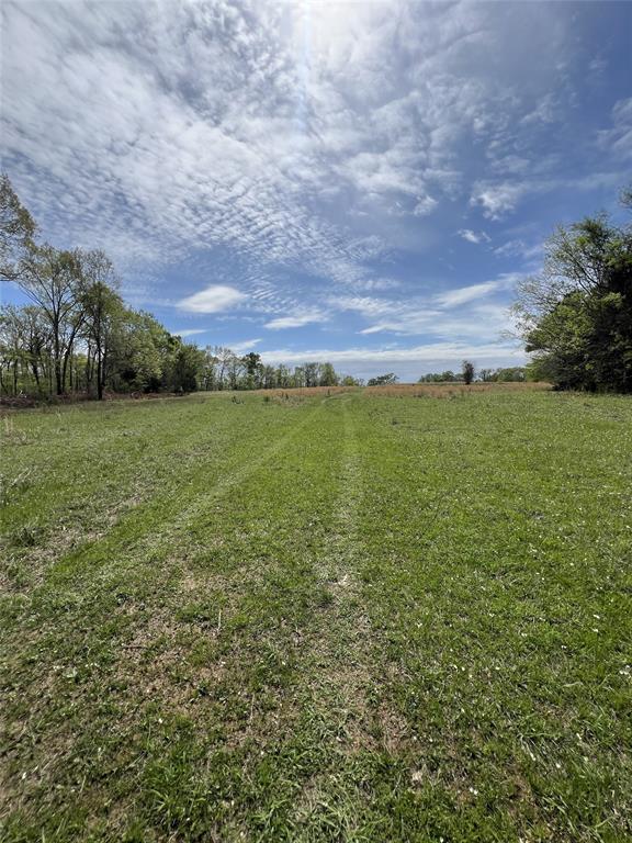 TBD County Road 490  , Henderson, Texas image 8