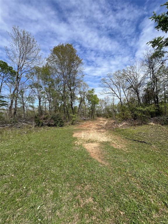 TBD County Road 490  , Henderson, Texas image 9