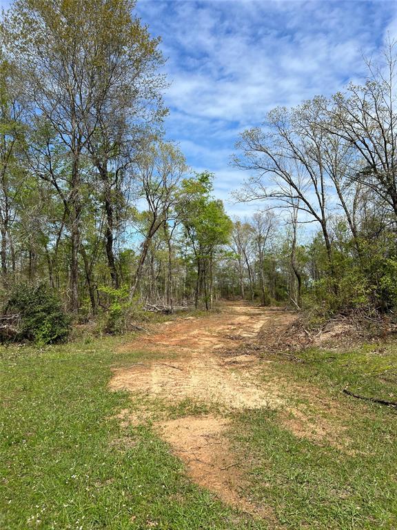 TBD County Road 490  , Henderson, Texas image 10