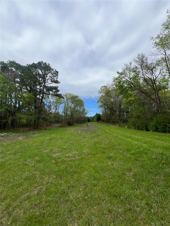 TBD-C Cr 490  , Henderson, Texas image 12