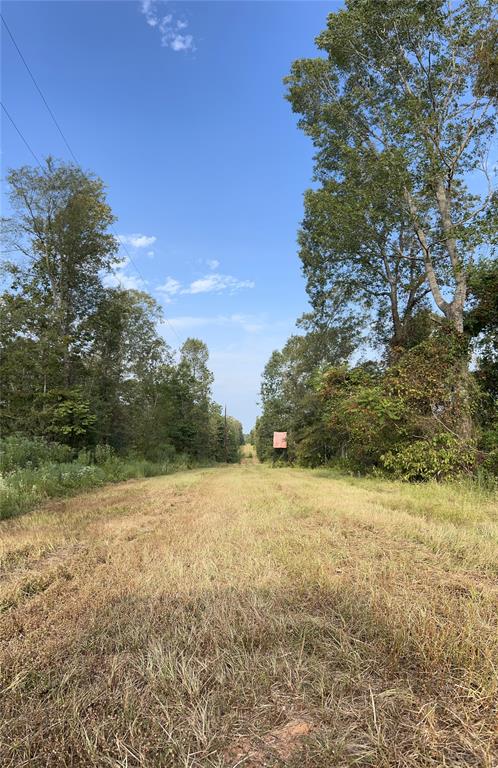 TBD-C Cr 490  , Henderson, Texas image 14