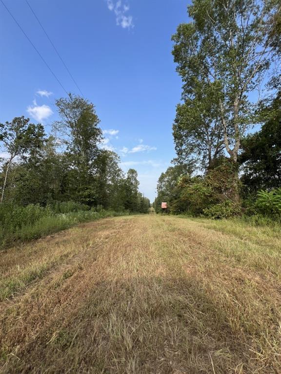 TBD-C Cr 490  , Henderson, Texas image 16