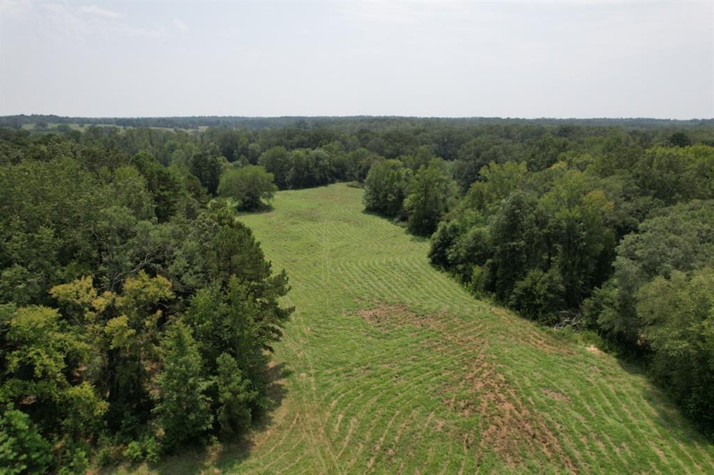 TBD-C Cr 490  , Henderson, Texas image 29