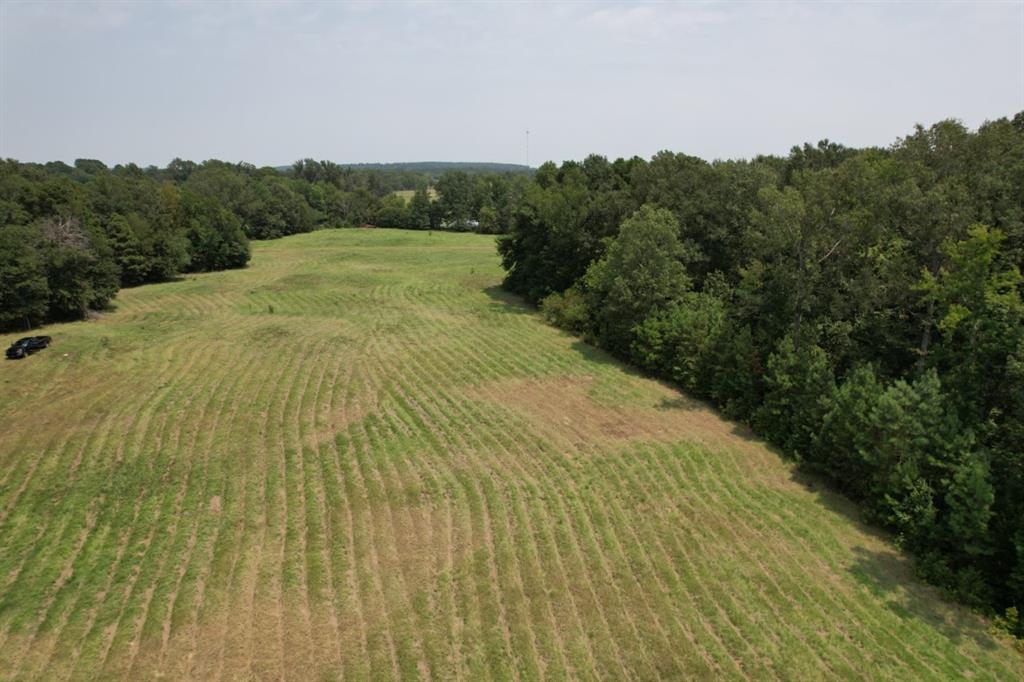 TBD-C Cr 490  , Henderson, Texas image 30