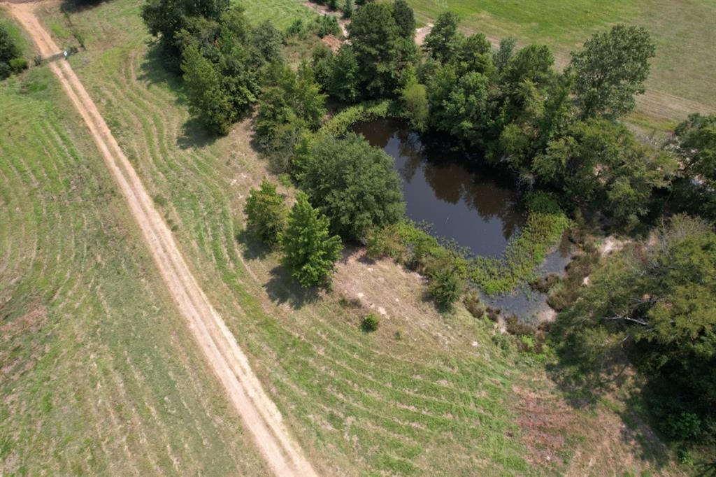 TBD-C Cr 490  , Henderson, Texas image 33