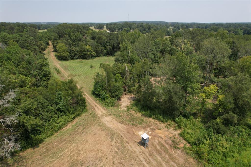 TBD-C Cr 490  , Henderson, Texas image 36